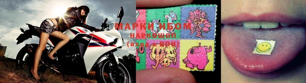 Альфа ПВП Нея