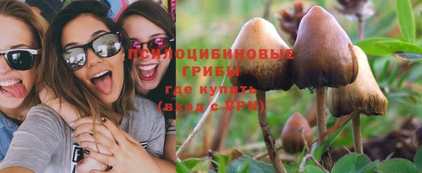 Альфа ПВП Нея