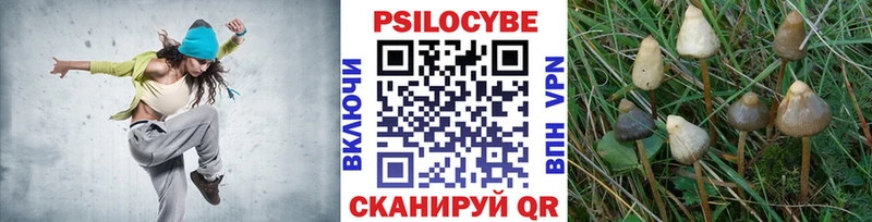 Галлюциногенные грибы прущие грибы  Кимры 