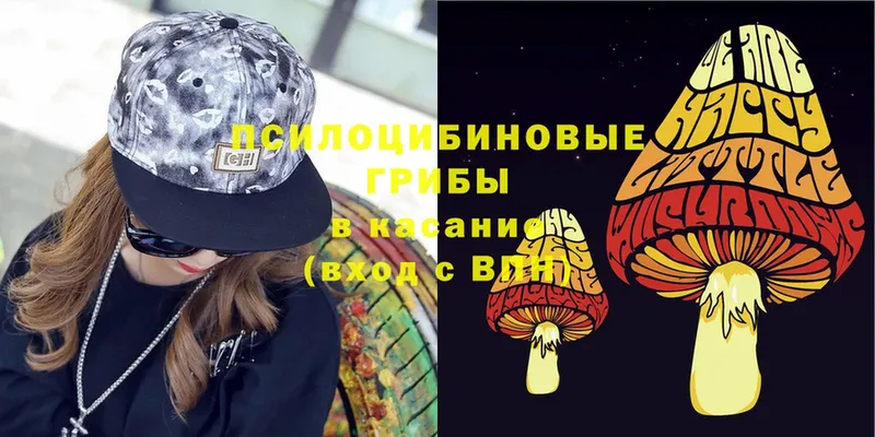 Галлюциногенные грибы Magic Shrooms  Кимры 