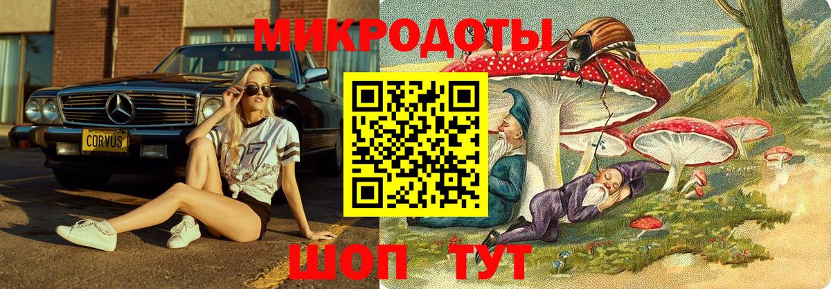 Псилоцибиновые грибы GOLDEN TEACHER Кимры