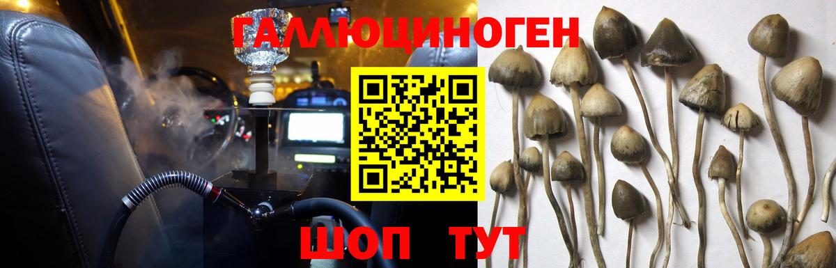 Кимры  купить наркоту  Вход с VPN  Псилоцибиновые грибы GOLDEN TEACHER 