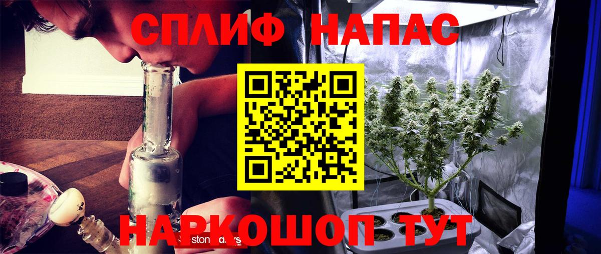 Шишки марихуана план  Кимры  Бошки Шишки OG Kush  Конопля OG Kush 